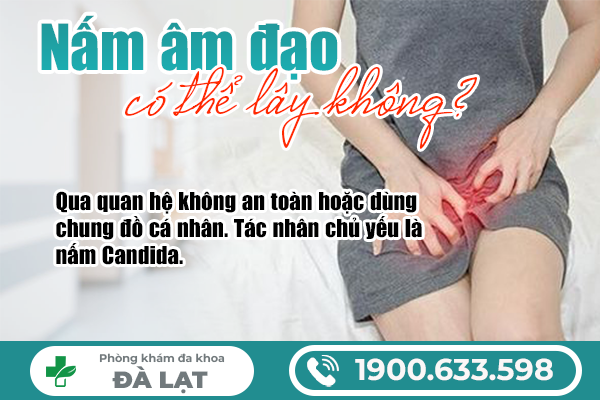Hình ảnh minh họa